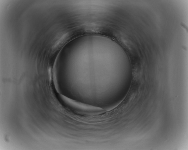 X0000096680027200802051256