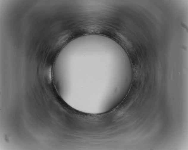 X0000096680028200802051256