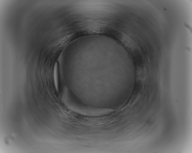X0000096680029200802051256