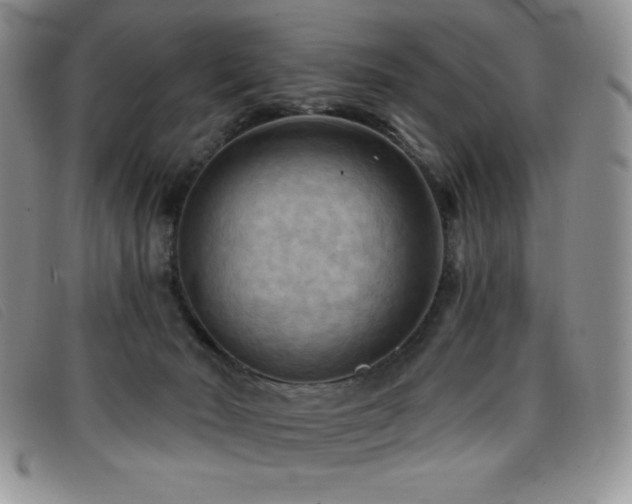 X0000096680030200802051256