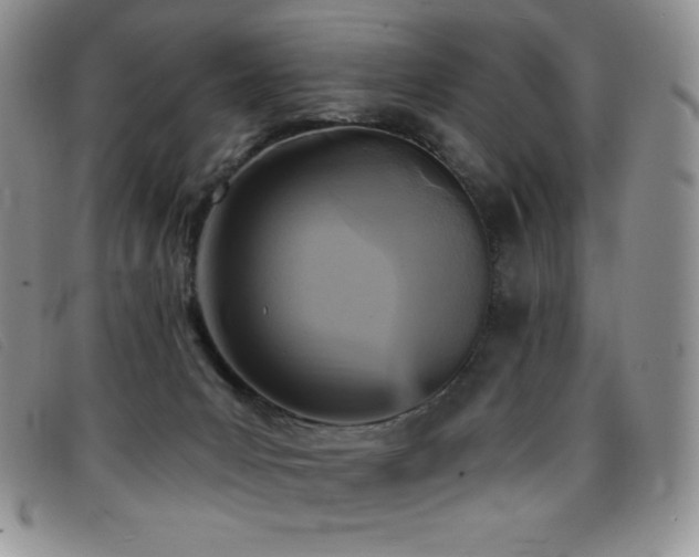 X0000096680031200802051256