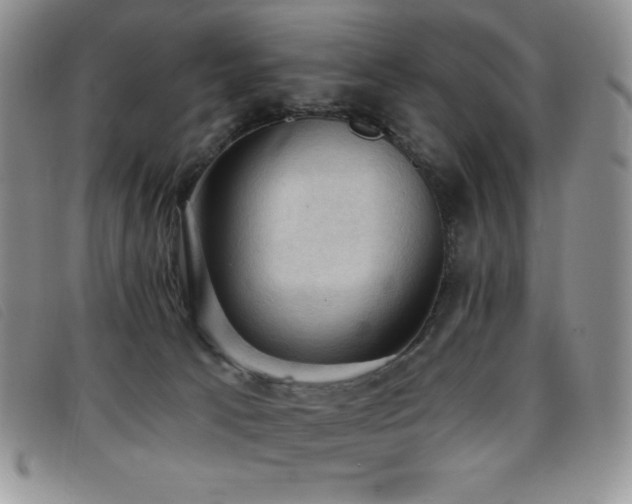 X0000096680033200802051256