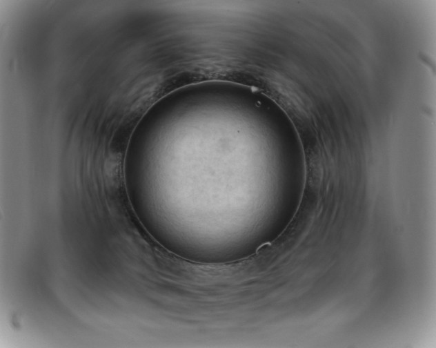 X0000096680034200802051256