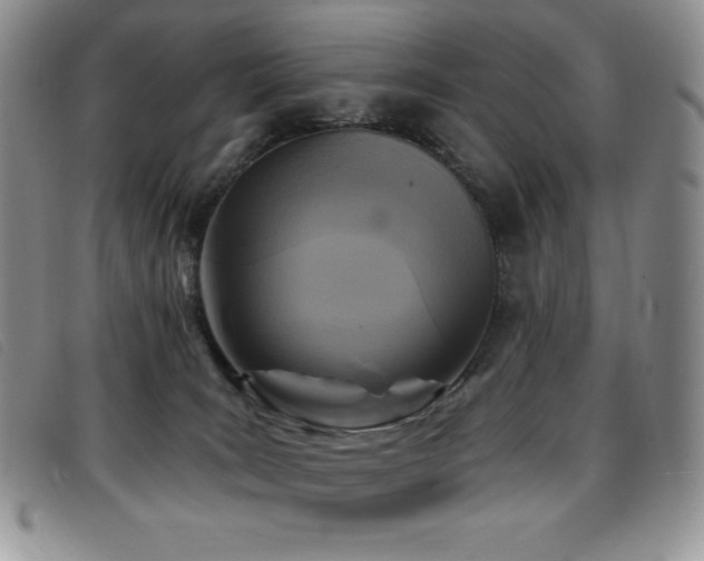 X0000096680035200802051256