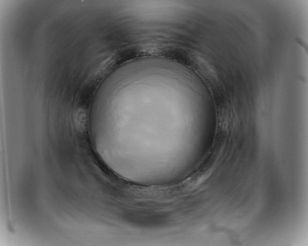 X0000096680036200802051256