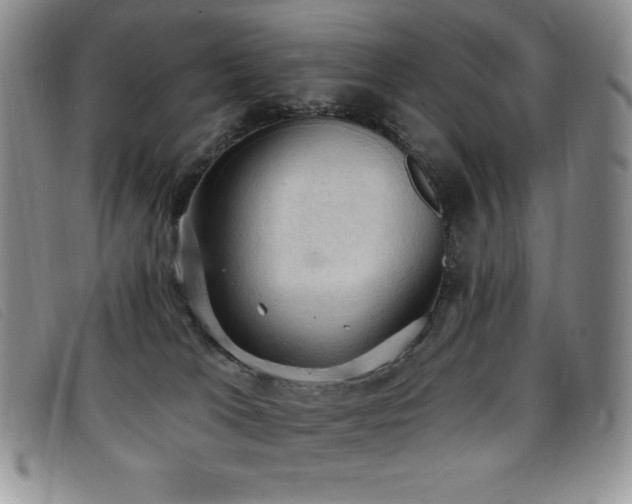X0000096680037200802051256