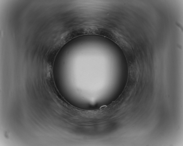 X0000096680038200802051256