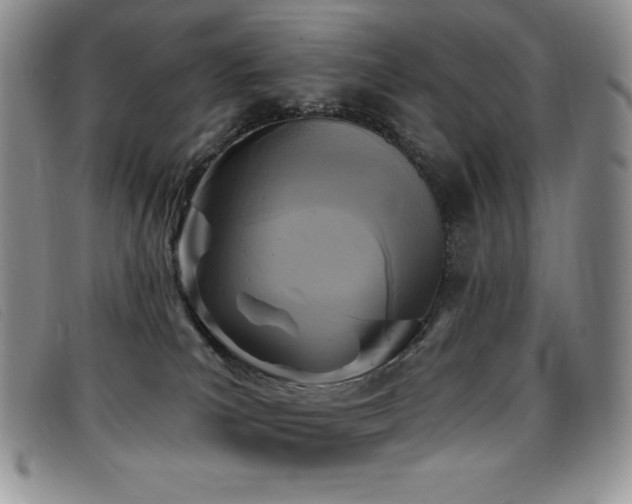 X0000096680039200802051256