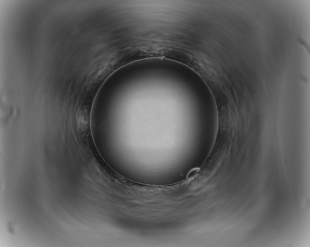 X0000096680040200802051256