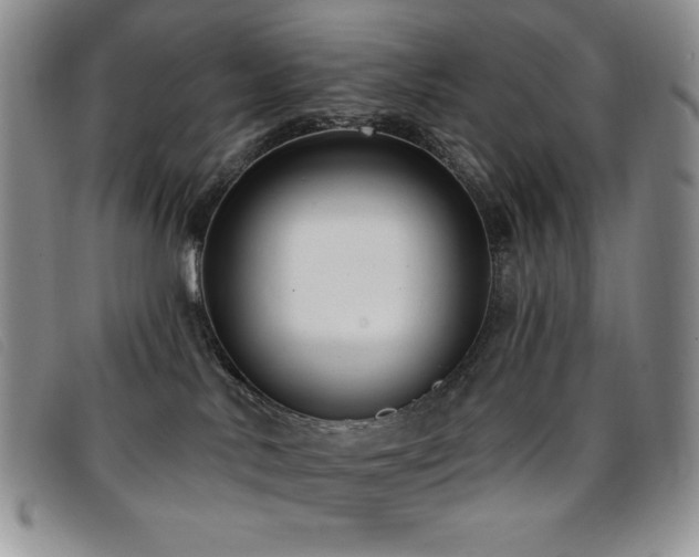 X0000096680042200802051256