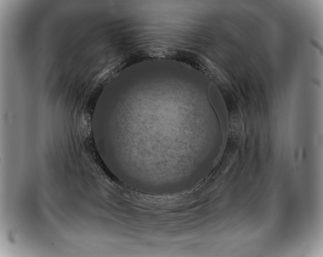 X0000096680043200802051256