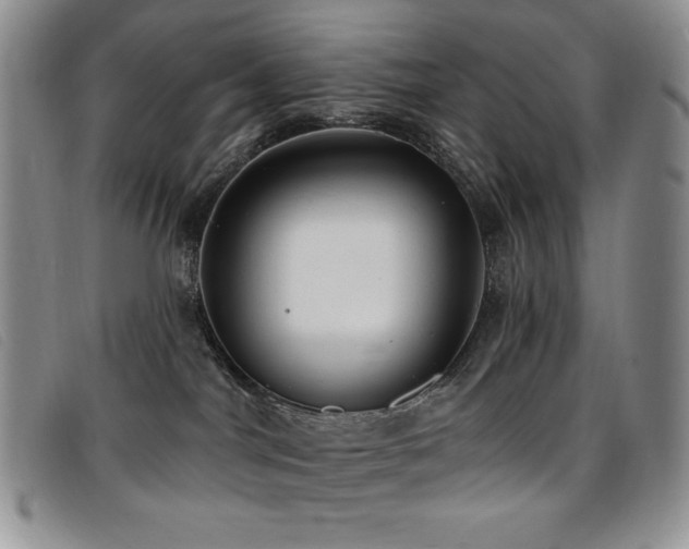 X0000096680044200802051256
