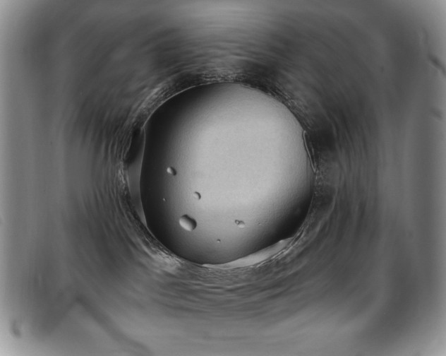 X0000096680045200802051256