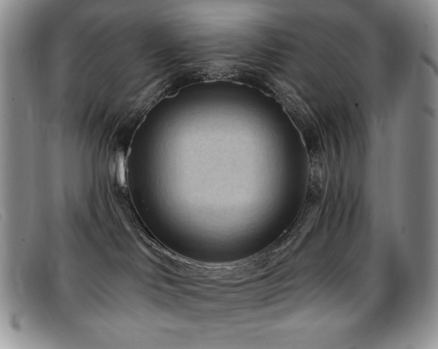 X0000096680046200802051256
