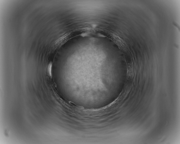 X0000096680047200802051256