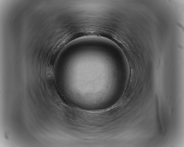 X0000096680048200802051256