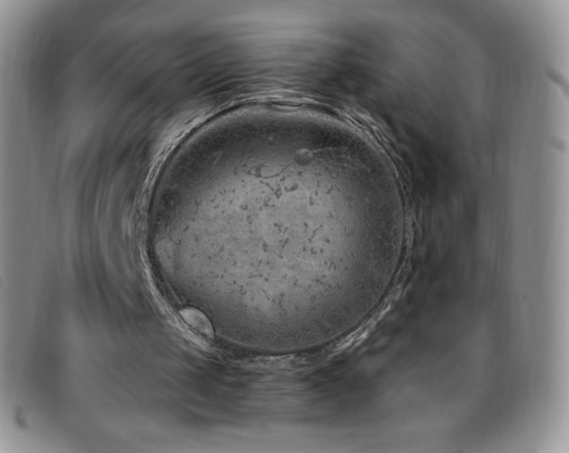 X0000096680049200802051255