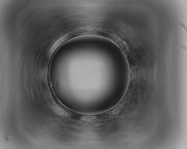 X0000096680051200802051255