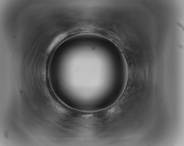 X0000096680054200802051255