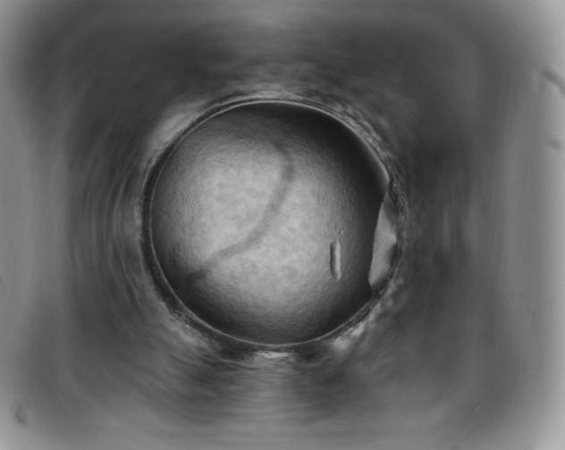 X0000096680055200802051255