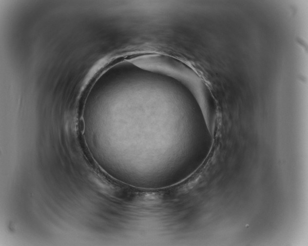 X0000096680056200802051255