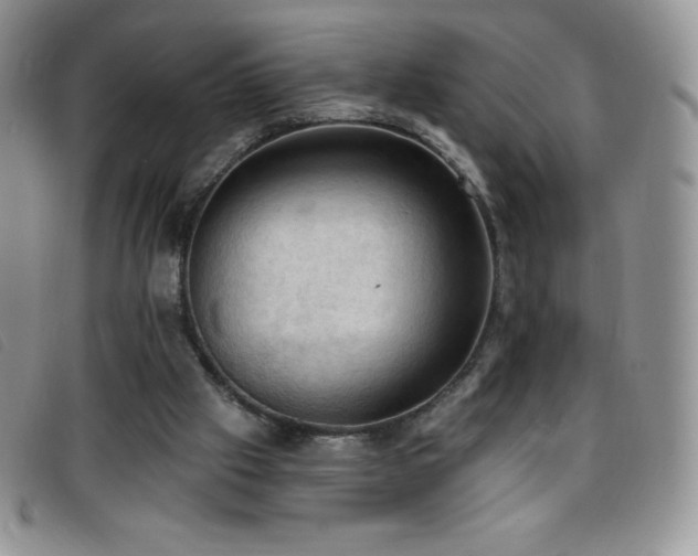 X0000096680057200802051255