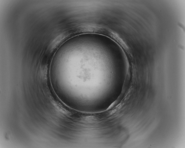 X0000096680058200802051255