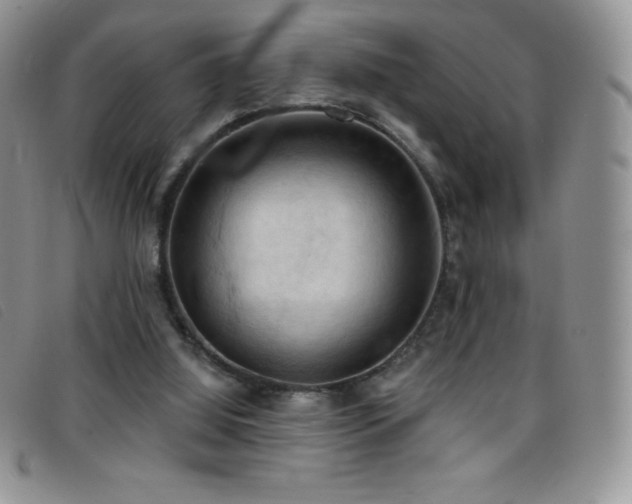 X0000096680060200802051255