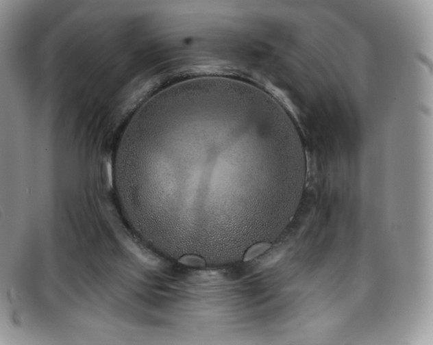 X0000096680061200802051255