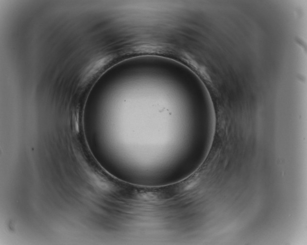 X0000096680062200802051255