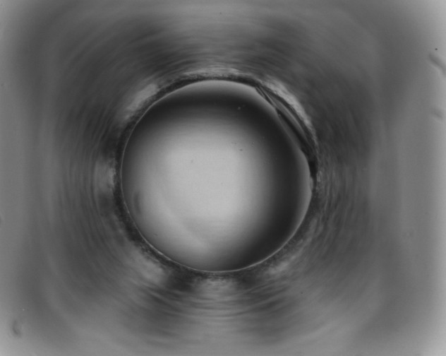 X0000096680063200802051255