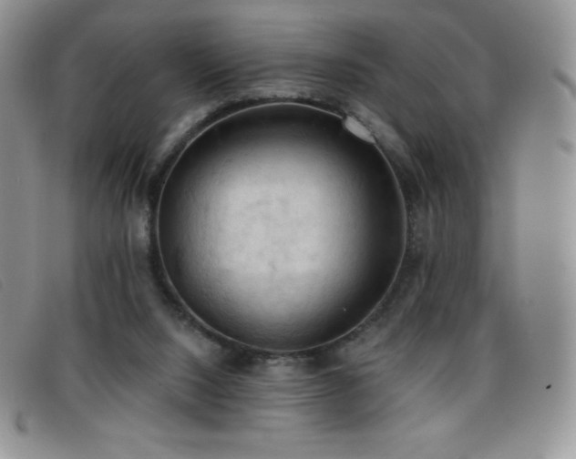 X0000096680064200802051255