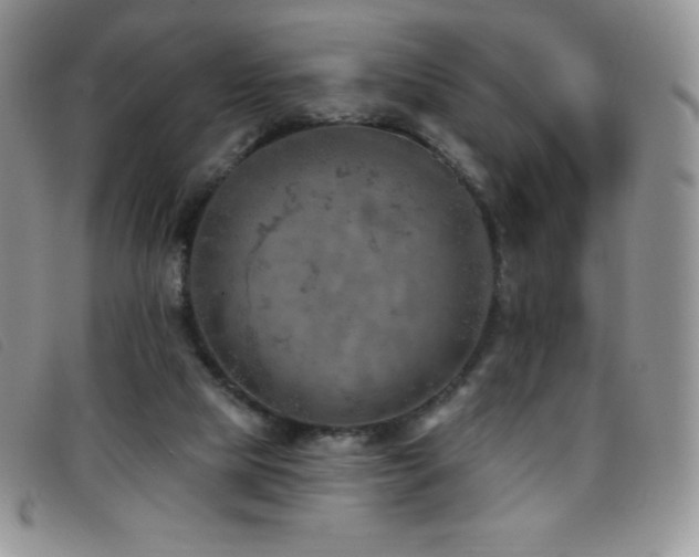 X0000096680065200802051255