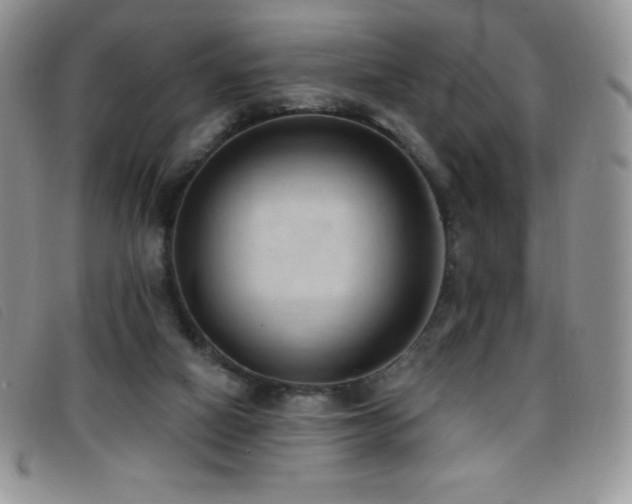 X0000096680066200802051255