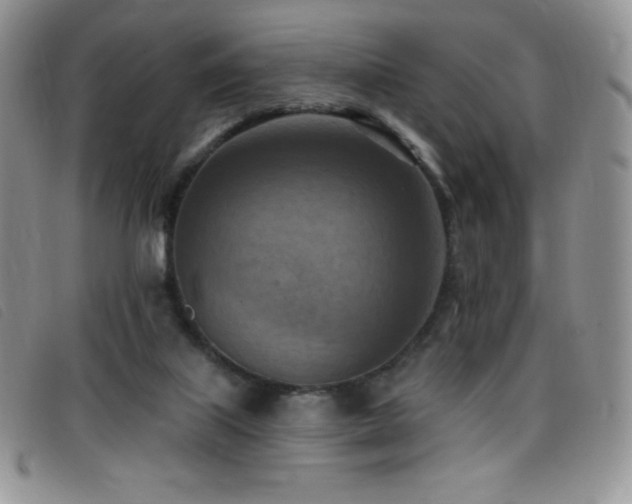 X0000096680067200802051255