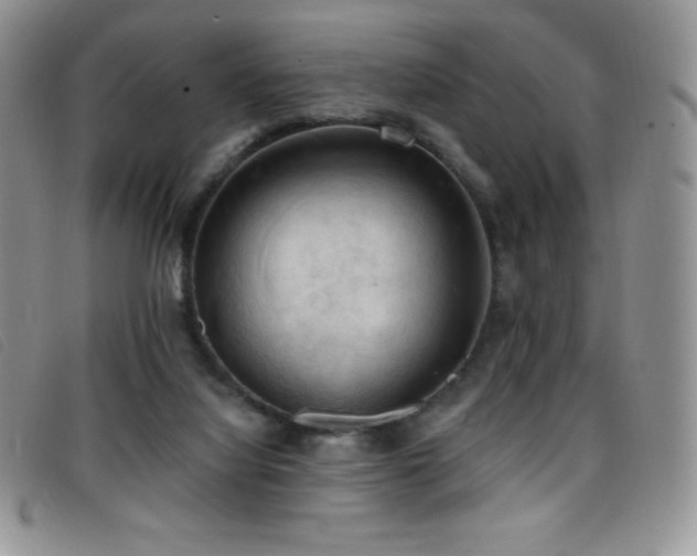 X0000096680068200802051255