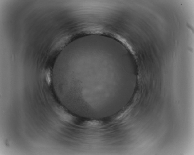 X0000096680069200802051255