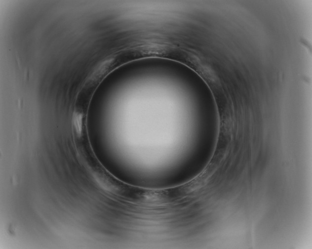 X0000096680070200802051255