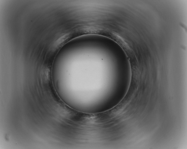 X0000096680071200802051255