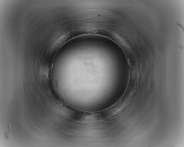 X0000096680072200802051255