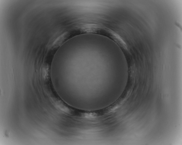 X0000096680073200802051255