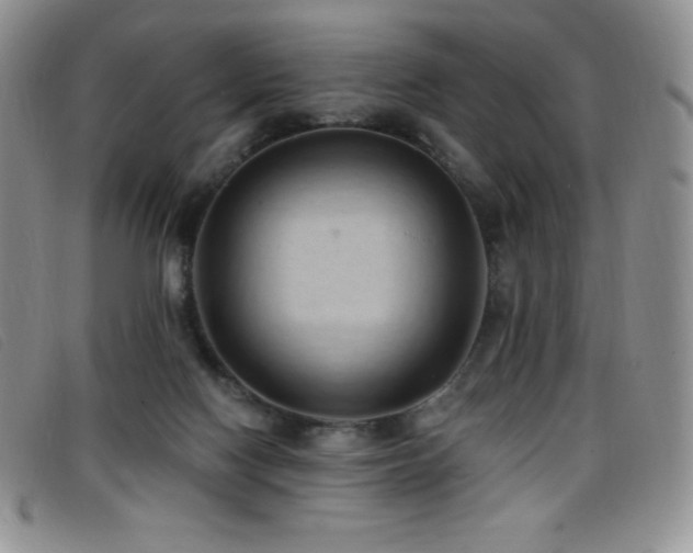 X0000096680074200802051255