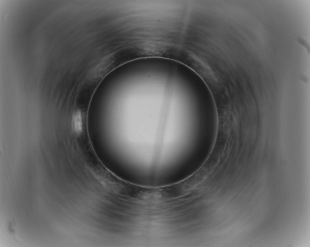 X0000096680075200802051255