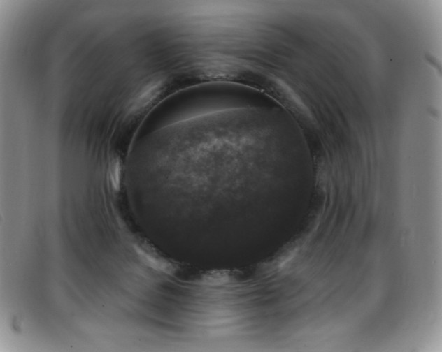 X0000096680076200802051255
