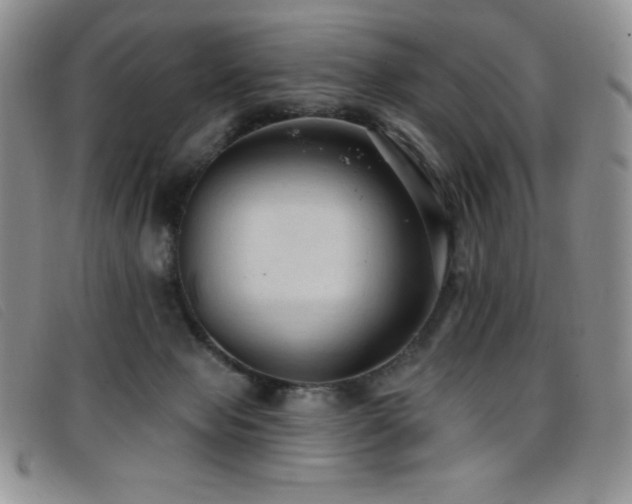 X0000096680077200802051255