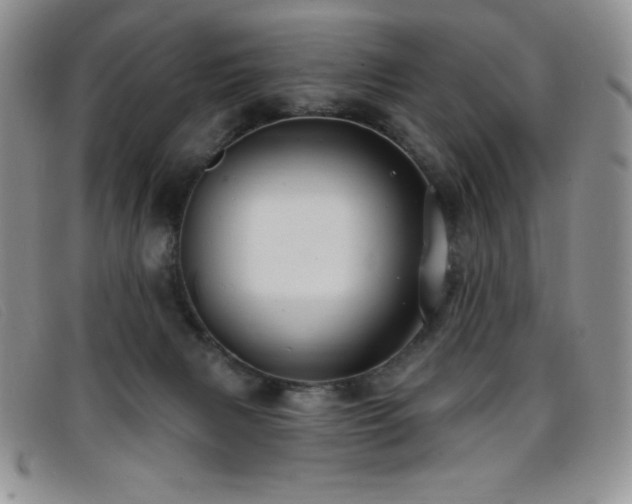 X0000096680079200802051255