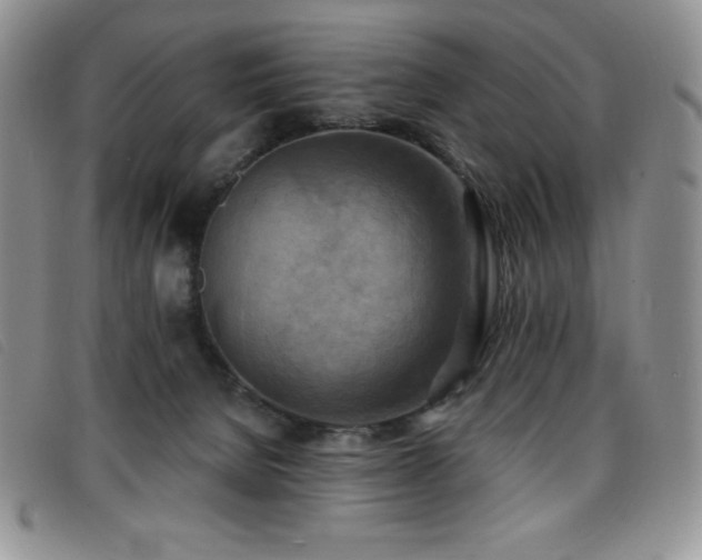 X0000096680080200802051255