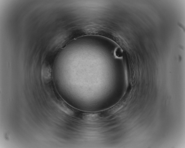 X0000096680081200802051255