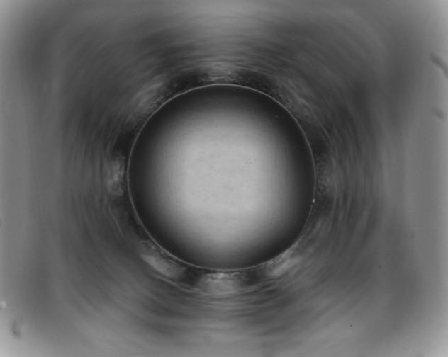 X0000096680082200802051255
