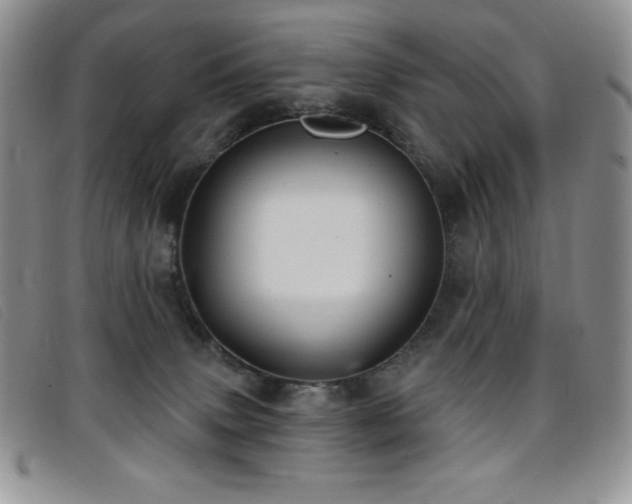 X0000096680083200802051255